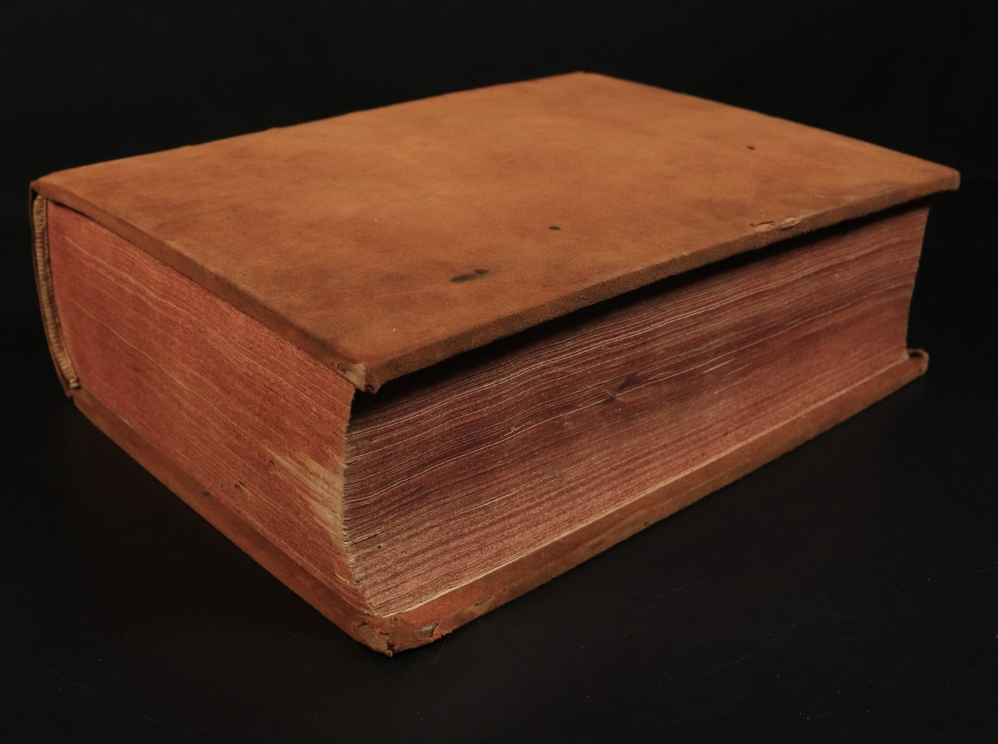 daa31f2f-335b-40b1-aa22-400fdf54d467