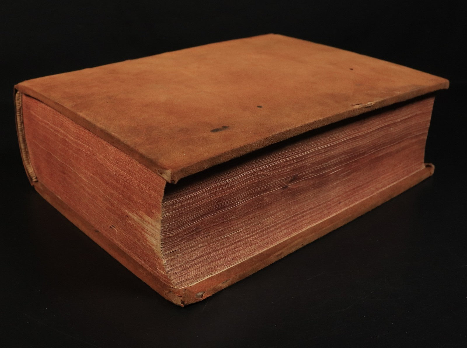 daa31f2f-335b-40b1-aa22-400fdf54d467