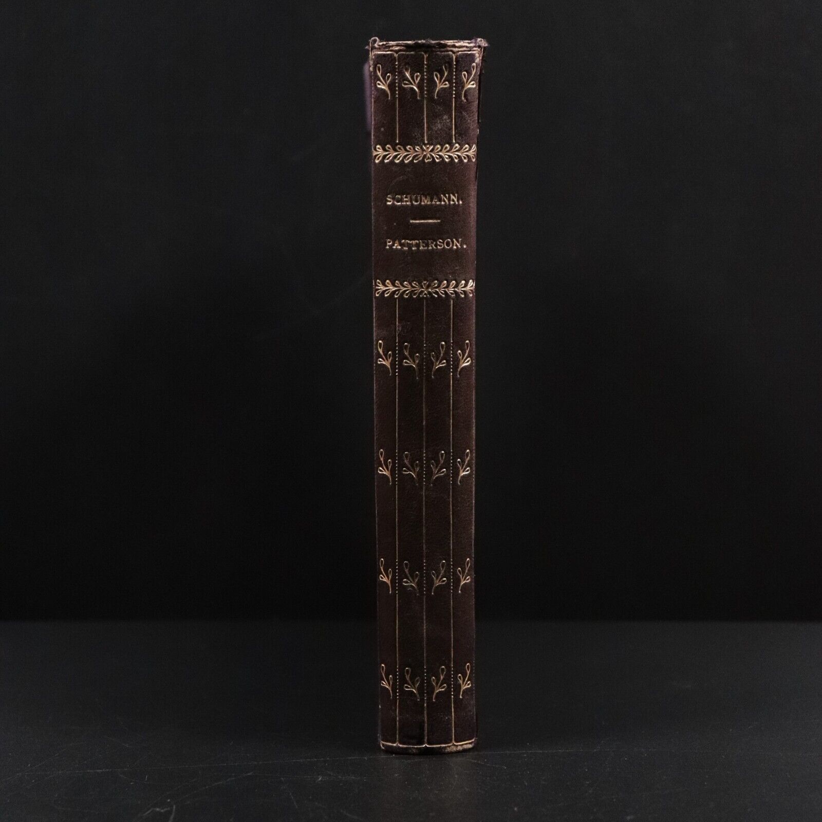 1908 Schumann by Annie W. Patterson Antique Classical Music History Book