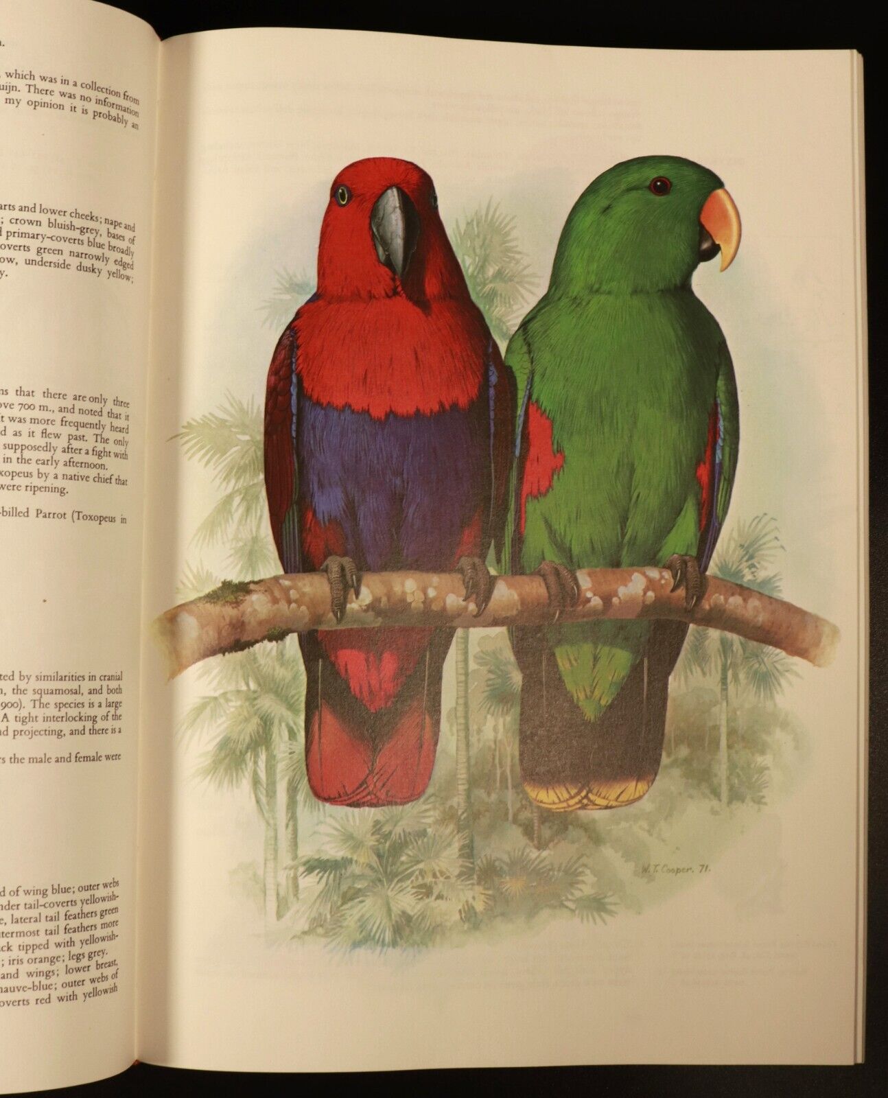 1978 Parrots Of The World by J.M. Forshaw Illustrated Bird Reference Book 2nd Ed