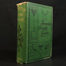 dbaca41f-bb4b-490d-bdeb-8dca57f41be4