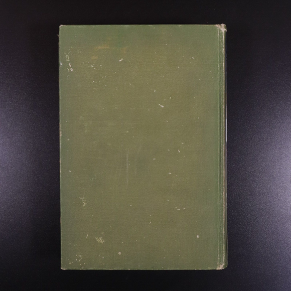 c1900 The Fitzgerald Family by M.S. Madden Antique British Fiction Book RTS