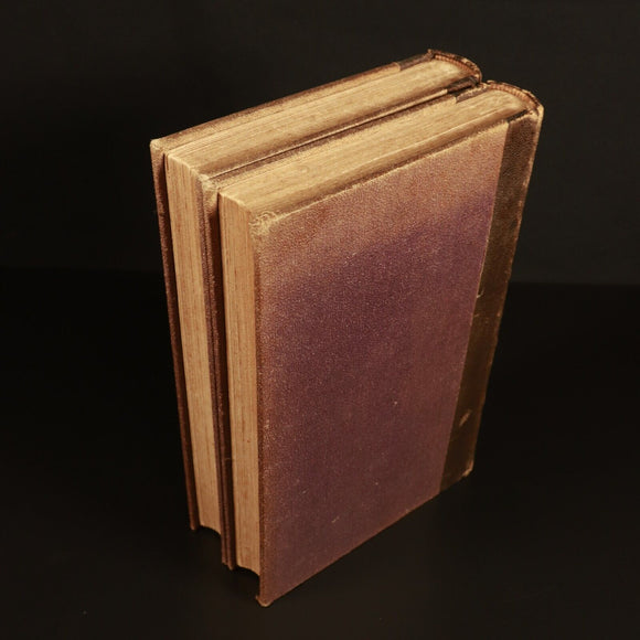 1863 2vol Manuel De l'Histoire De La Peinture Antiquarian French Art Books