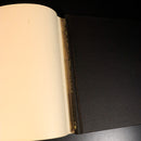 dce2e678-1d98-4117-91a3-ec9ff90f006a