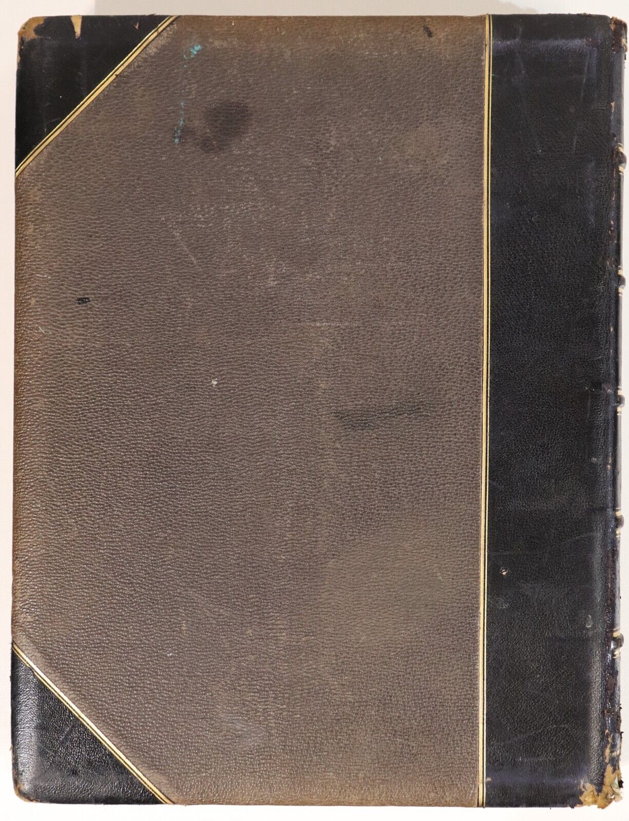 dec6f861-ff42-444f-9bd5-c7eadcee42ab