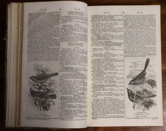 1843 The Penny Cyclopaedia Vol. 27 Antique British Reference History Book