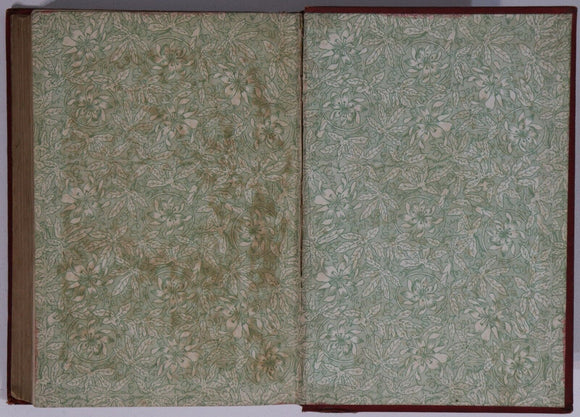 1897 The Half-Caste: Governess's Tale by Dinah Craik Antique Fiction Book