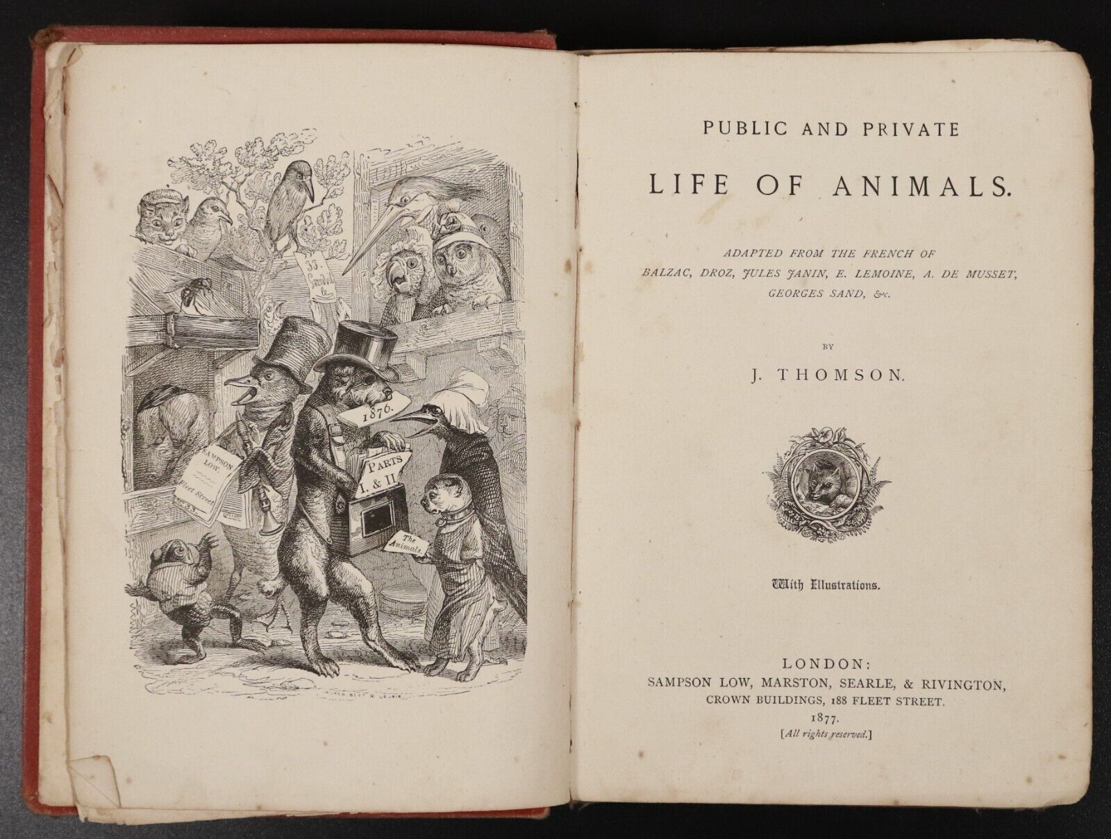 1877 Public & Private Life Of Animals Antiquarian Fables Literature Book Scarce