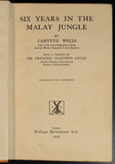 e176e70a-9dca-4869-9729-c0f5583fc8e1