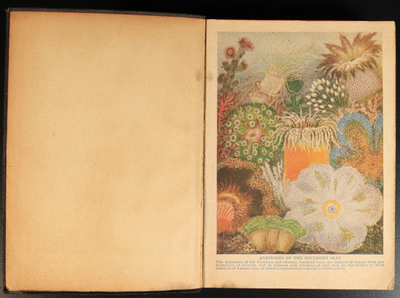 e2aa73f6-fbae-48c1-a112-4f9f1fcbe006