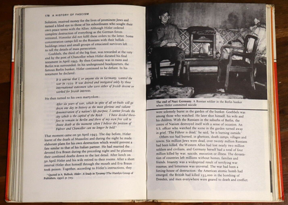 1969 Fascism In Western Europe 1900-45 German Political & Military History Book