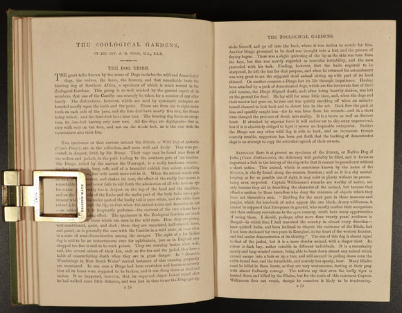 e381ac98-edb4-4f7b-80f1-eabc1232a2e6