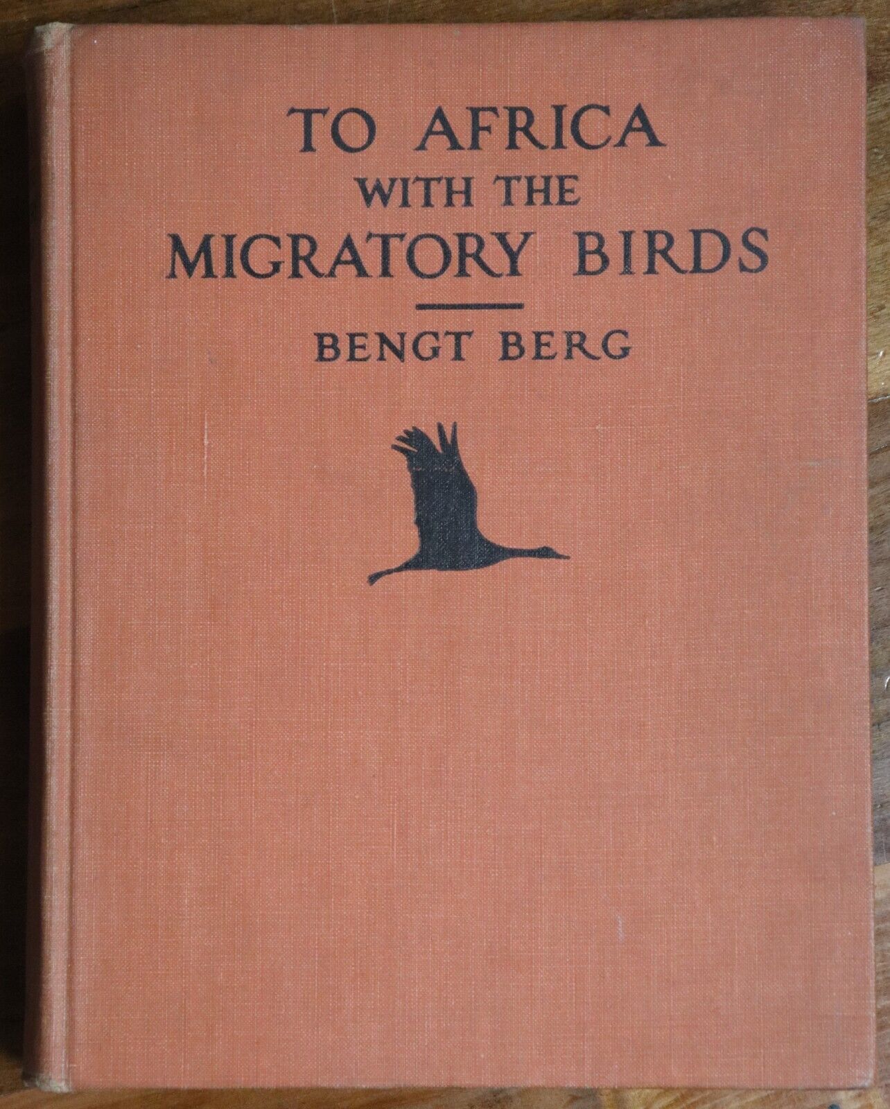 1930 To Africa With The Migratory Birds Antique Natural History Reference Book