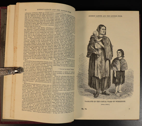 e43317a7-739f-4c06-9bf8-4eb53cbf9988