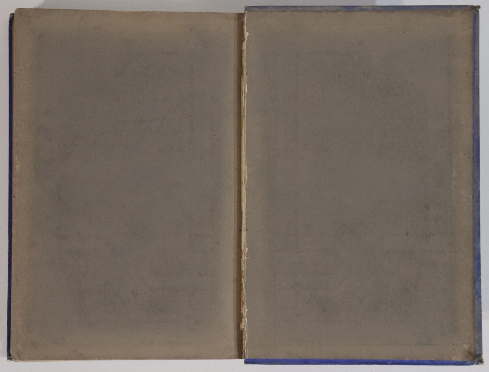 e546b0bc-9072-4383-8072-3816face4eaf