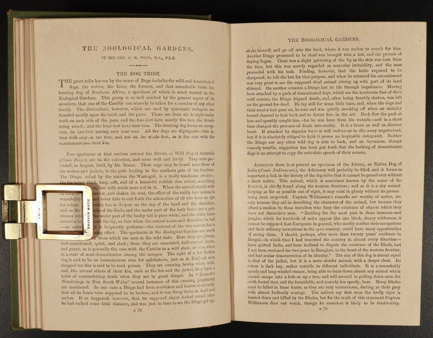 e6a7cc02-401e-437c-8f59-aba7c0e94fe8