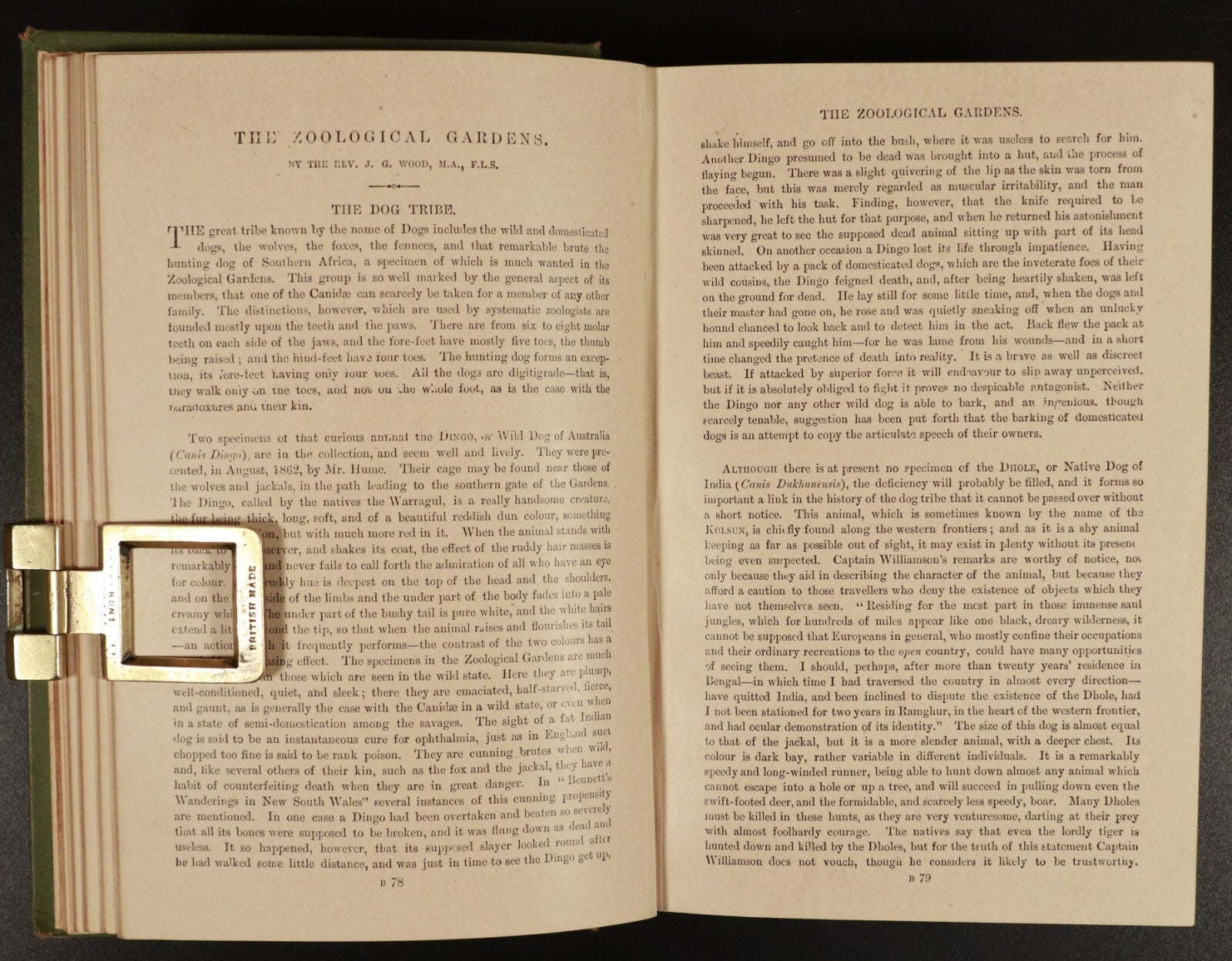 e6a7cc02-401e-437c-8f59-aba7c0e94fe8