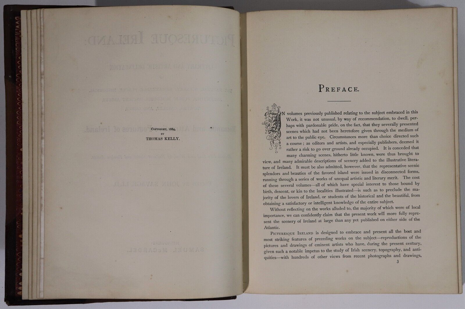 1884 Picturesque Ireland by John Savage Antiquarian Irish History Book Leather