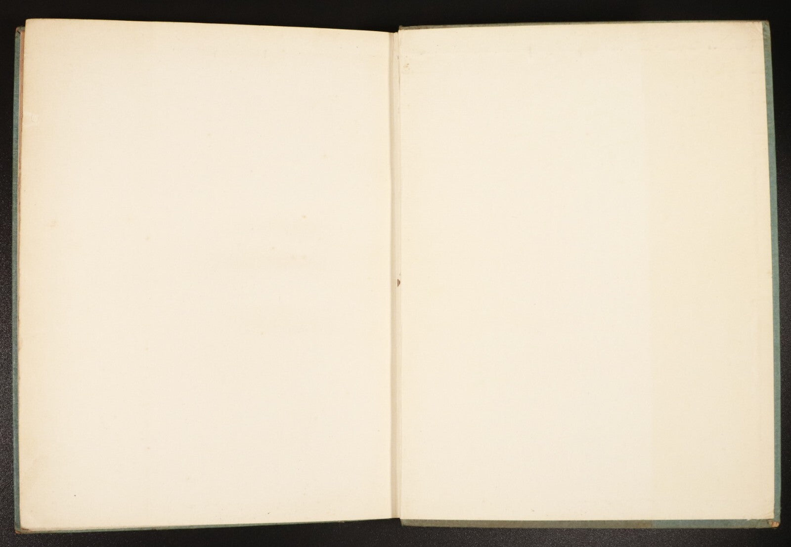 e8051b08-314a-4bf7-9610-65e1124dfcd8