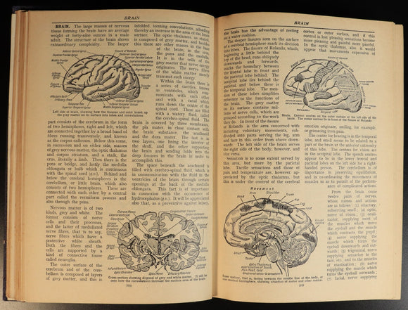 e8b30aa0-bde1-45da-9e51-bbf9ea7e862c