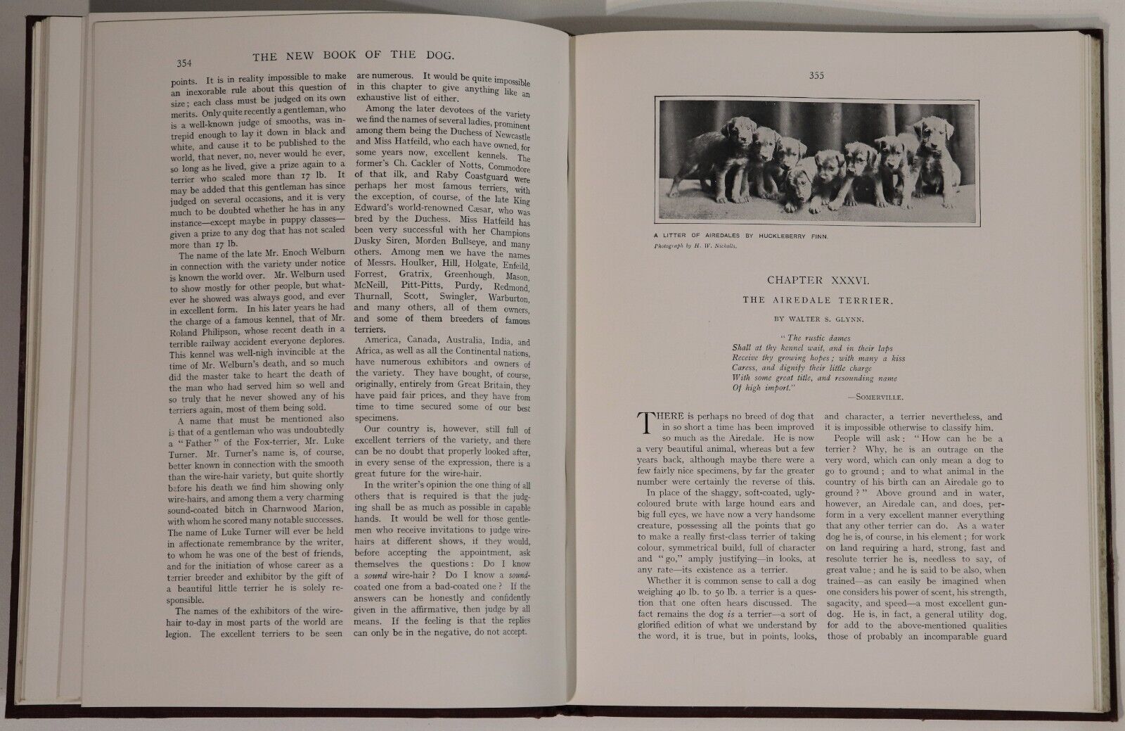 c1912 Cassell's New Book Of The Dog Antique British Dog Reference Books