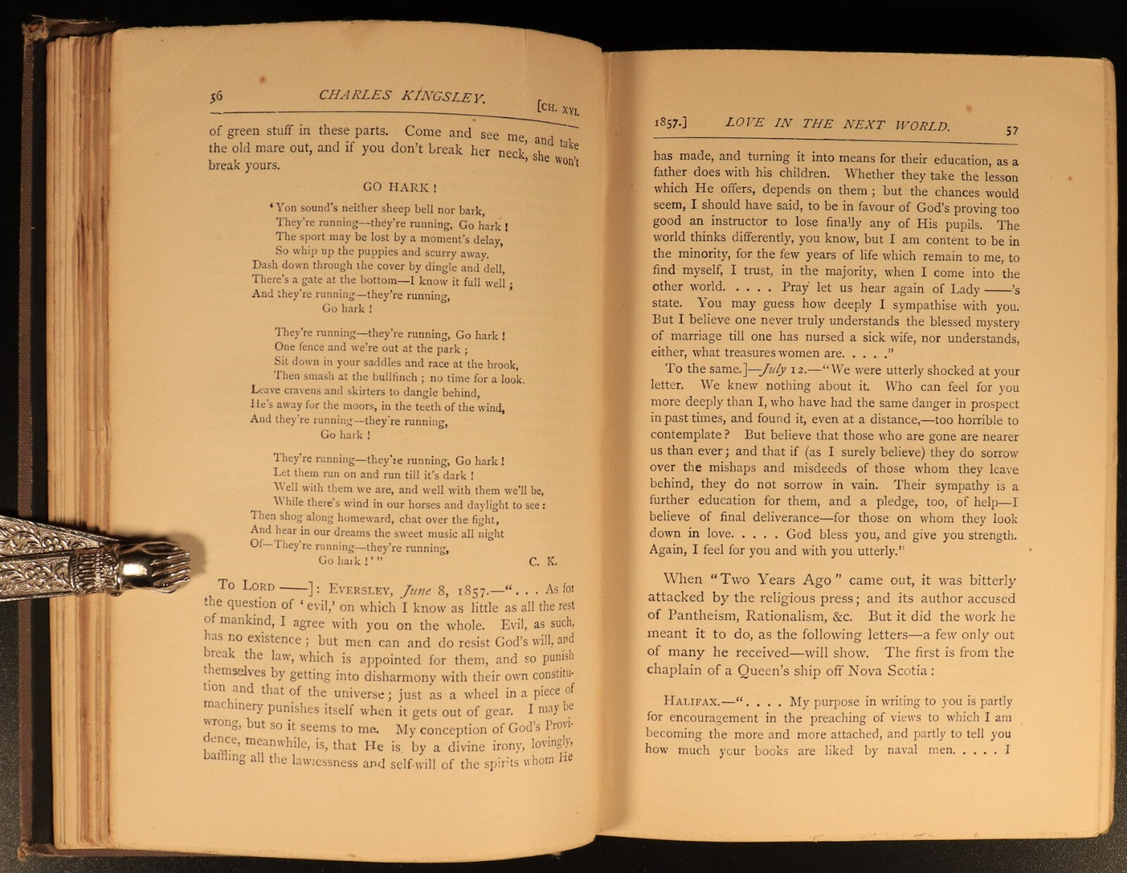 1891 Charles Kingsley Letters & Life British Religious History & Biography Books