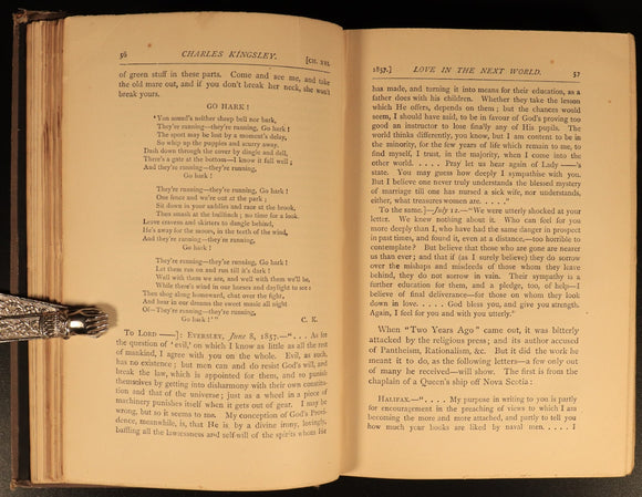 1891 Charles Kingsley Letters & Life British Religious History & Biography Books
