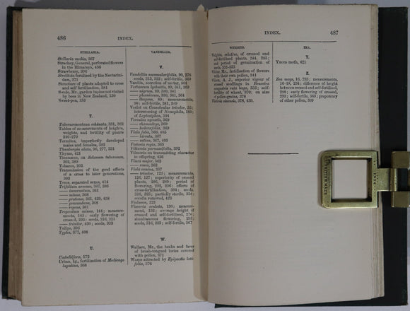 e94ebc2f-72f6-4b37-a035-43ca9a22e292