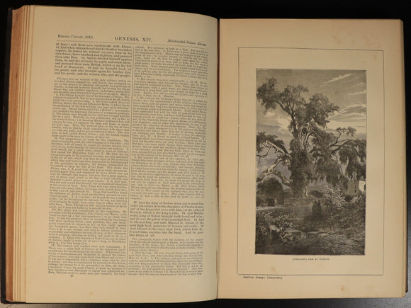 e9a0a5a8-73ad-45cd-9a5f-8e6545f6aa23