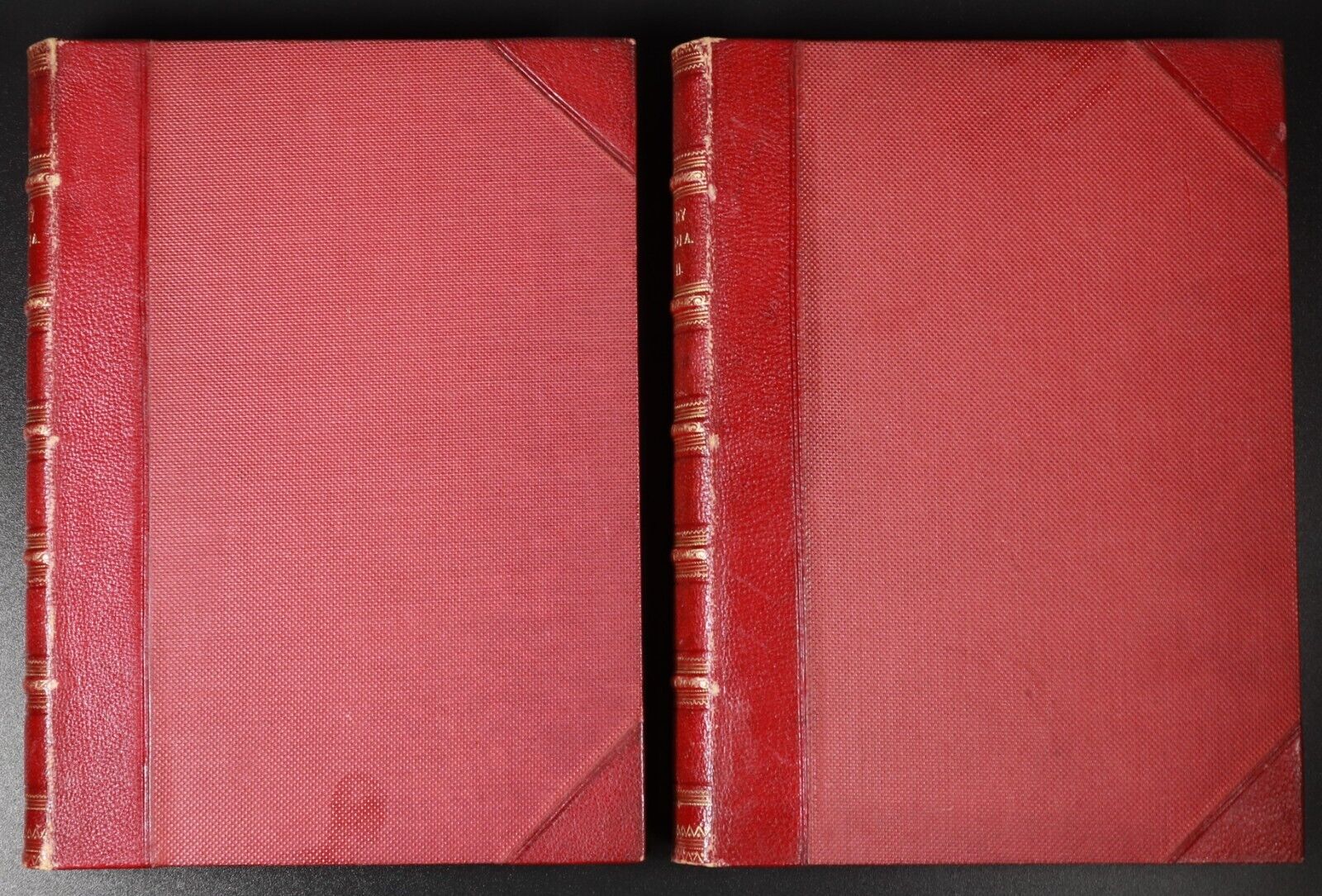 c1885 2vol Cassell's Illustrated History Of India Antique History Book Set