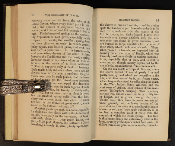 ea233c35-6dac-49ac-b08d-4ee65281e282