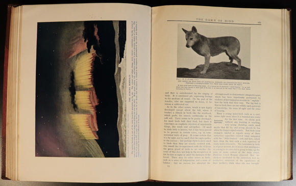 eab84893-97ac-459d-9d52-d1e617948619