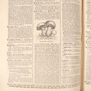 eadb2f31-be45-4ecf-a875-1abd0167cc68