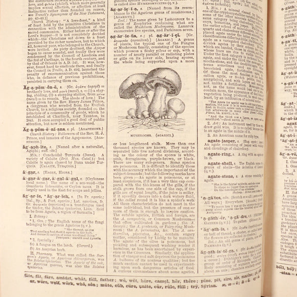 eadb2f31-be45-4ecf-a875-1abd0167cc68