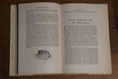 1952 The Midmost Waters by John Fisher Vintage Travel & Exploration Book-8