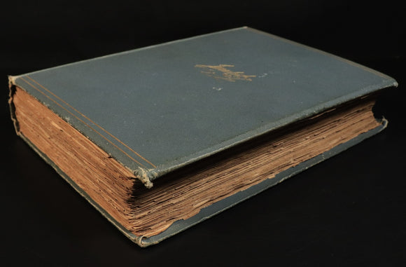 ed1e694e-d83b-4f45-9909-80f6a9fc2543