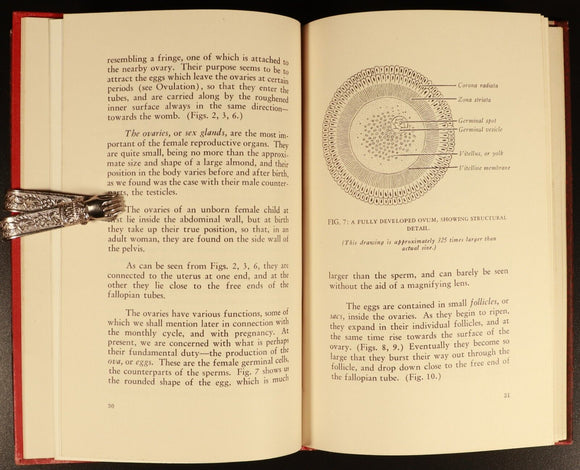 Sex Education In Pictures by DJ Farrell 1946 Antique Sexual Reference Book