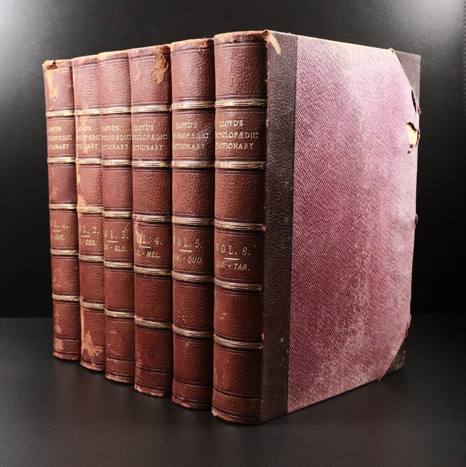 1895 6vol Lloyd's Encyclopaedic Dictionary British Antiquarian Reference Books