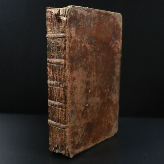 edcaadbc-b3cd-4bfa-b2a3-c8a7ae48adde