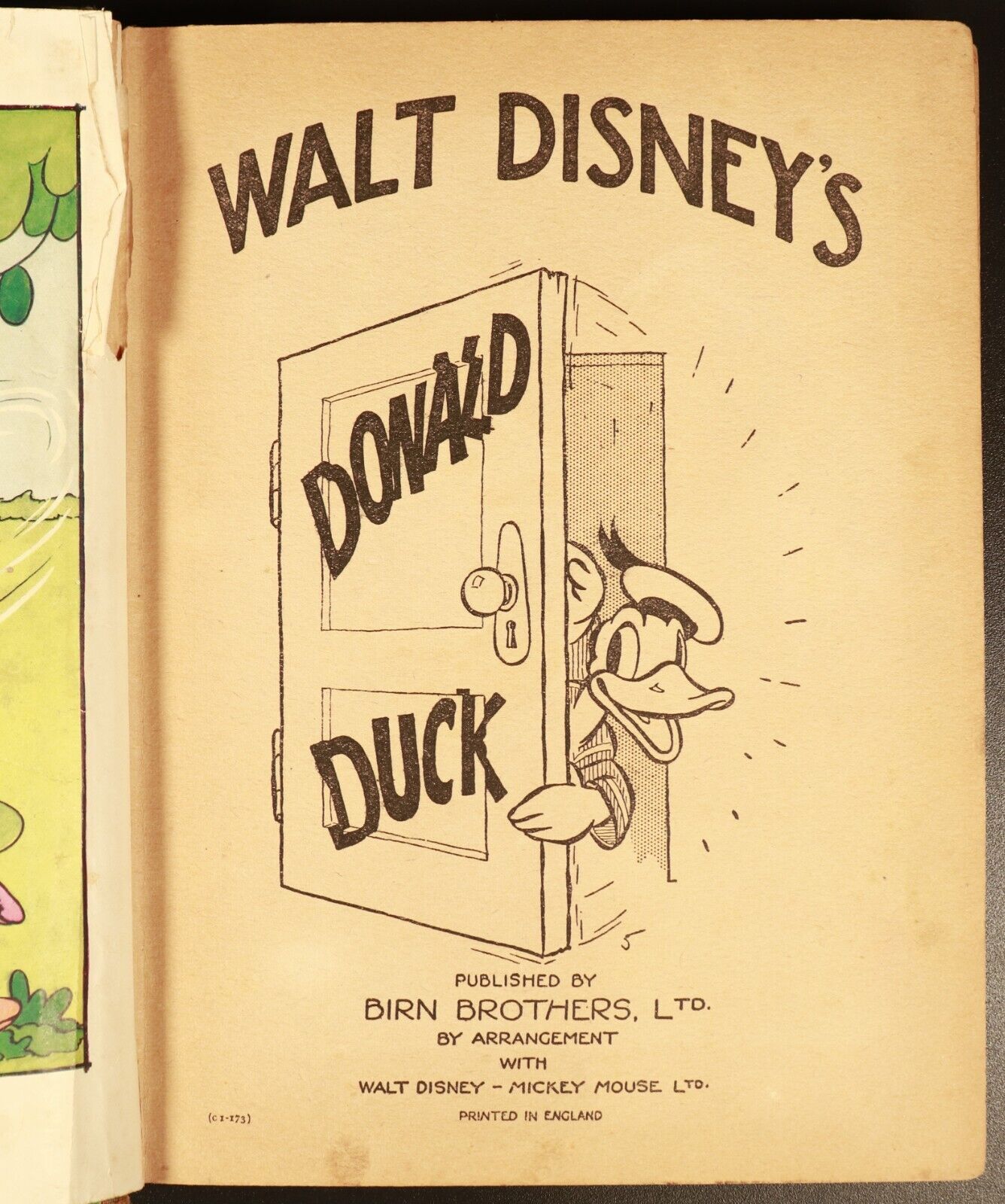 c1930's Walt Disney's Donald Duck Antique Illustrated Childrens Book Birn Bros.