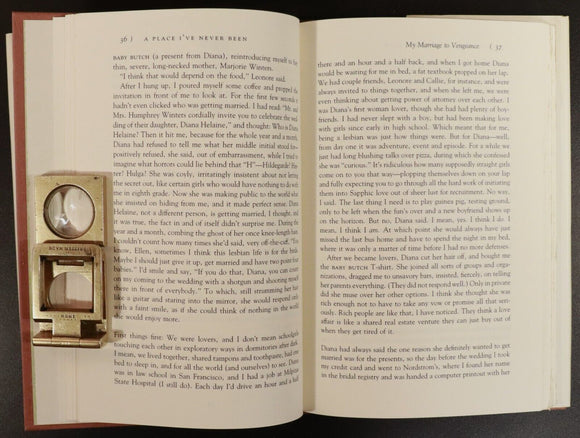 1990 A Place I've Never Been by David Leavitt 1st Edition American Fiction Book