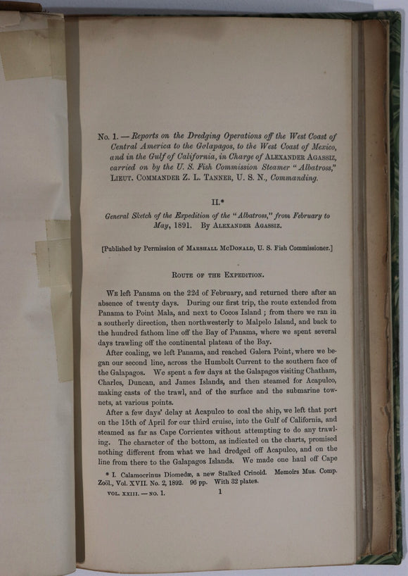 eeadee34-5c7c-4a72-a82b-6df785f8ccc2