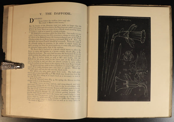 eebc6985-d021-4d85-b8e2-8274b992cbe4