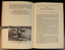 eef3d364-e637-4fef-80df-cbda24a4350a