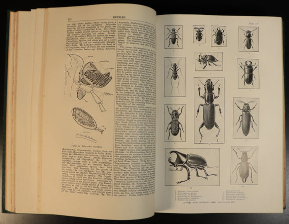 efcf7039-8bfc-4a0f-ad0a-bfd221a0e3f9