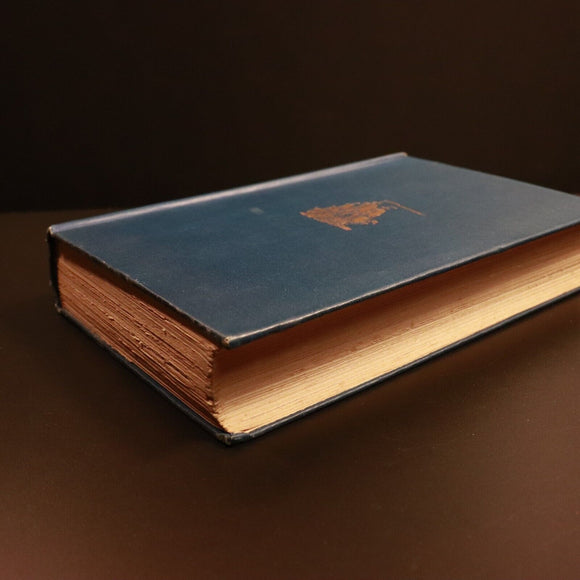 efe3b5a2-d157-42d6-b946-3dcfa20cc762