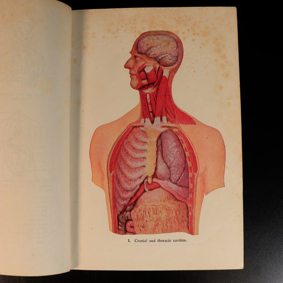 f0672d54-843c-4ae9-bf0c-bf2e4bd50407