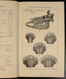 f081d0be-76f6-4dd4-b539-ac8ad29fa0ab