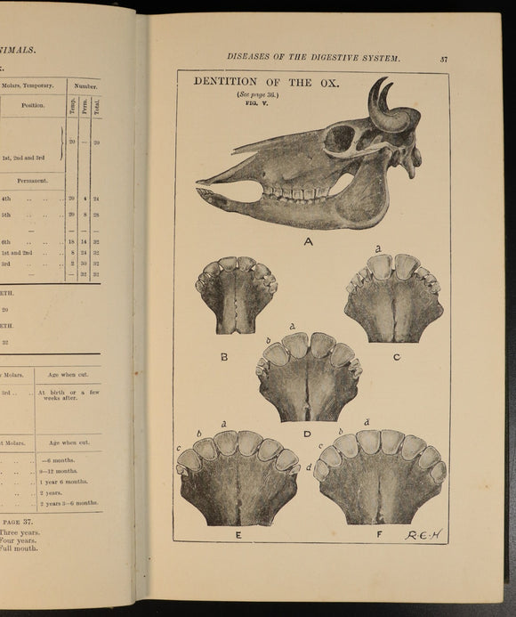 f081d0be-76f6-4dd4-b539-ac8ad29fa0ab