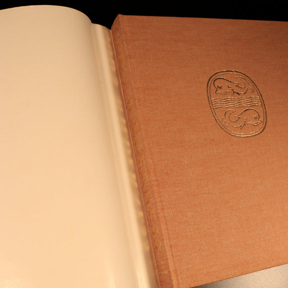 God's Wilderness Discoveries In Sinai 1965 Biblical History Book Israel